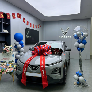 Vinfast Bình Chánh bàn giao xe VF6 Plus xám xi măng 2026