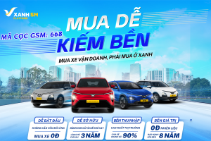 thuê sở hữu xe điện vinfast - thanh vinfast miền nam